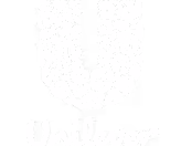Unilever